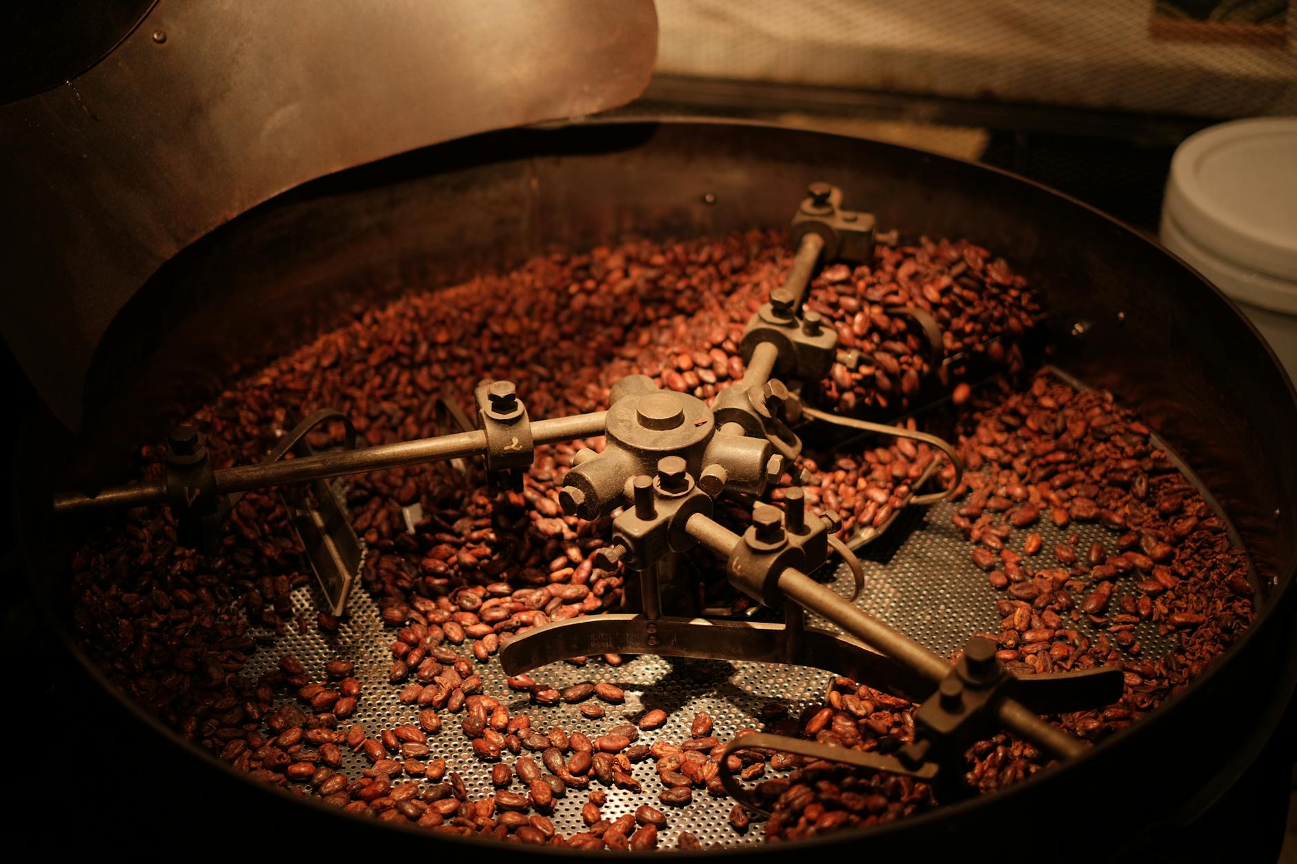 Hanoi Coffee Culture: Complete Guide to Vietnamese Coffee (2026) 5 Vietnamese coffee beans ready for roasting