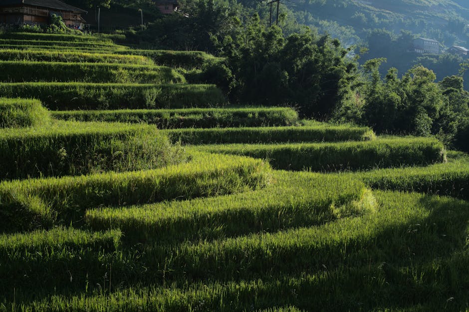 7 Day Hanoi and Northern Vietnam Itinerary (2026)