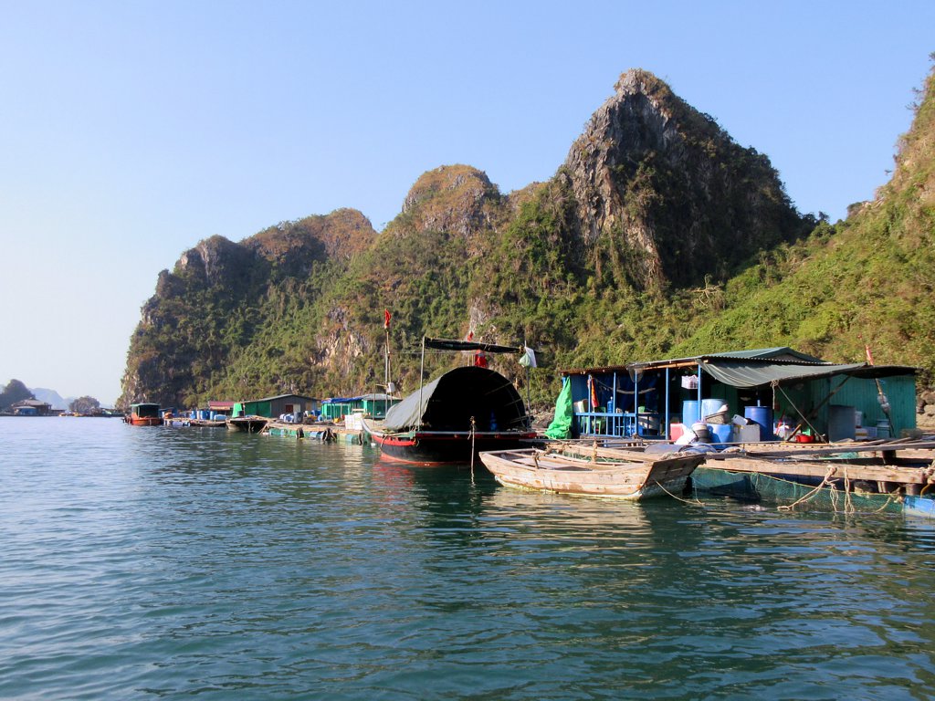 Floating houses, fish cages and small boats moored below a limestone ridge at Cua Van
