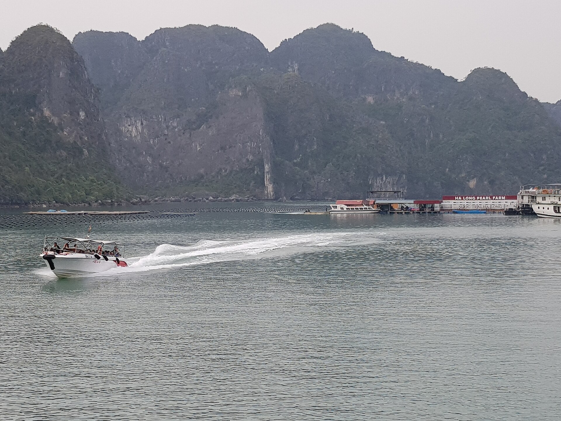 Ha Long Bay 2 Day 1 Night: What the Itinerary Actually Looks Like 4 A speedboat crossing in front of the floating Ha Long Pearl Farm platform below limestone cliffs
