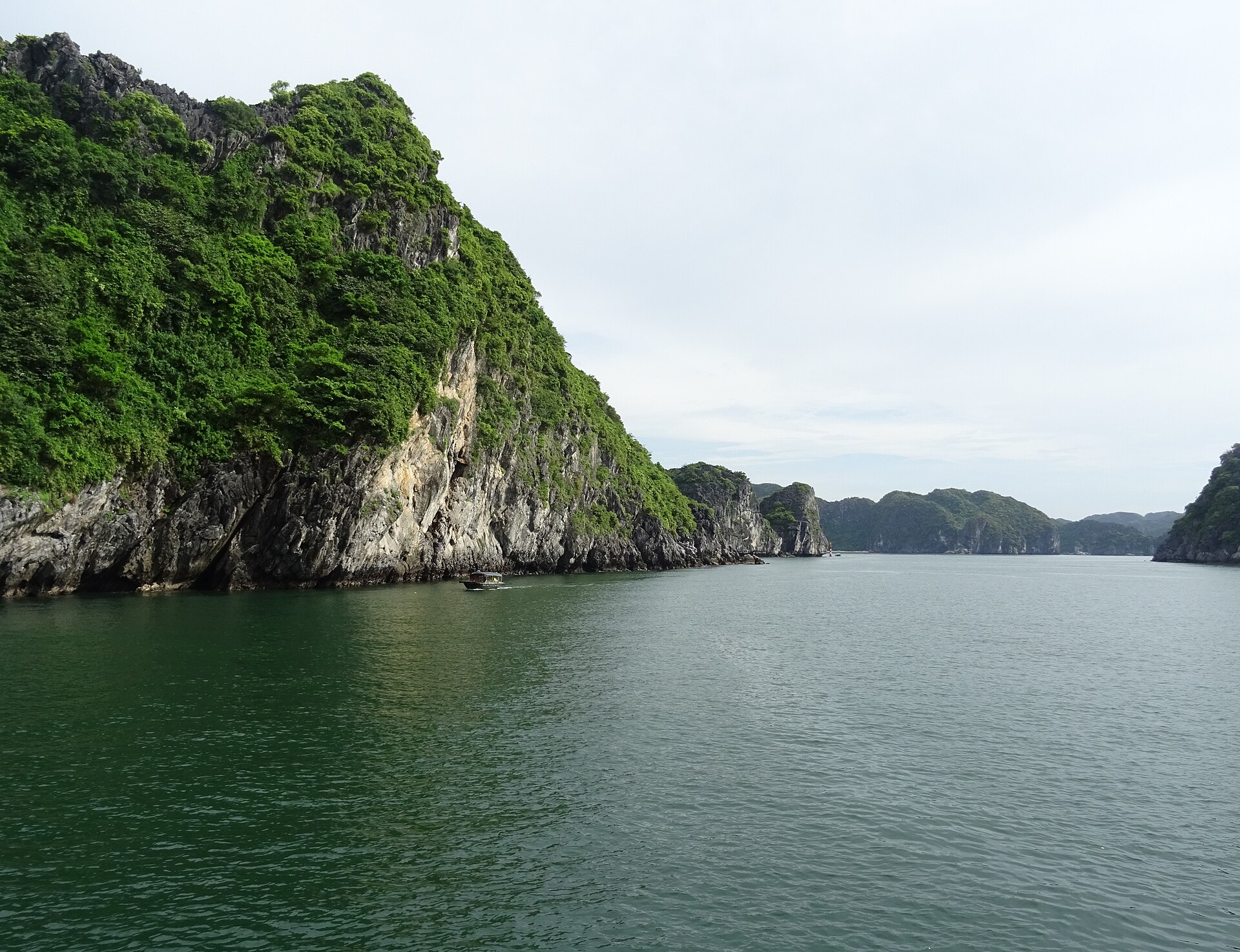 Lan Ha Bay vs Ha Long Bay: Which to Book 3 A single small boat passing below a tall forested limestone cliff on otherwise empty water in Lan Ha Bay